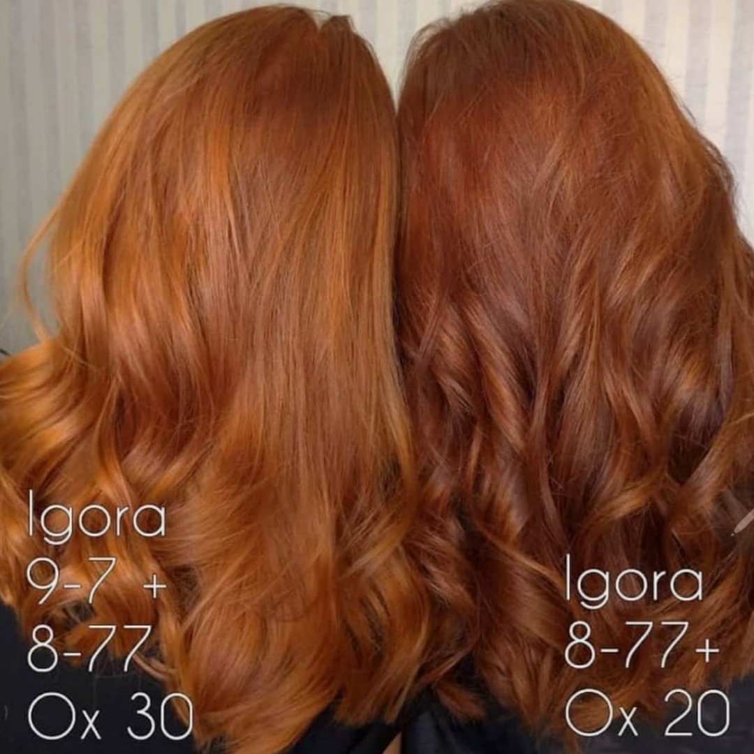 Kit Tintura Schwarzkopf Professional Igora royal Reds tom 8-77 para cabelo